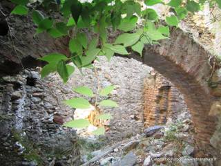 stoleone-31-08-2015 09-08-12